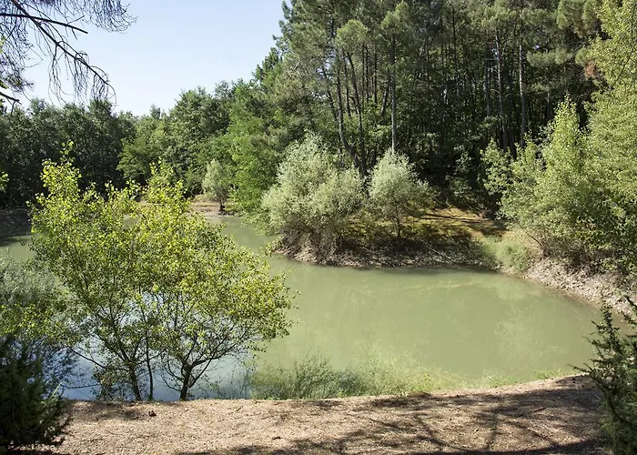 La Casa Nel Bosco بيت للعطل